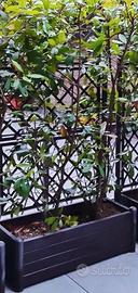 4 Fioriere in plastica rettangolari con spalliera 