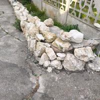 Sassi