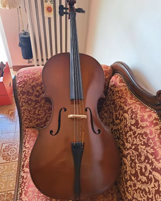 violoncello