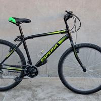 MTB Esperia da 27.5.
