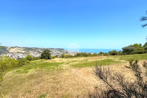 TER. AGRICOLO A GROTTAMMARE