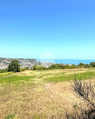 TER. AGRICOLO A GROTTAMMARE