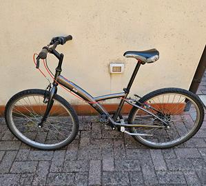 BICICLETTA 24"