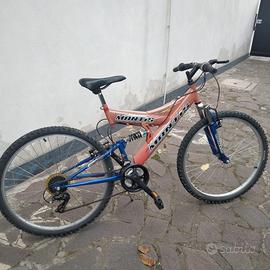 Bicicletta mountain bike