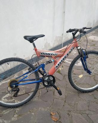 Bicicletta mountain bike