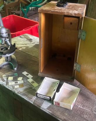 Microscopio vintage scatola legno, lotto