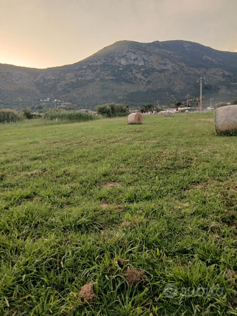 Terreno agricolo - Vista 5