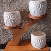 Vasetti gufo 