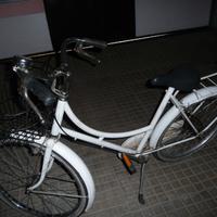 bici da donna e mtb