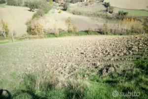 Terreno via Creta ariano irpino