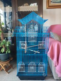 Gabbia per uccelli e pappagalli.