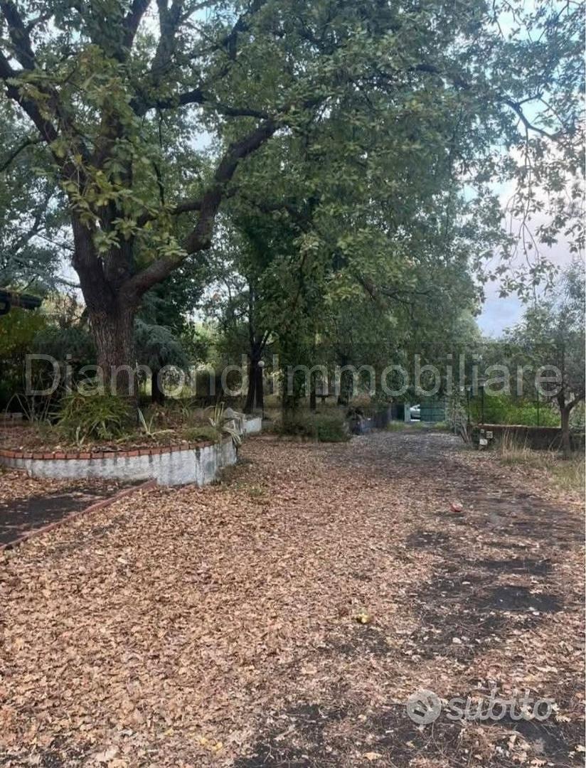 Casa semindipendente con terreno a Zafferana Etnea - Vista 2