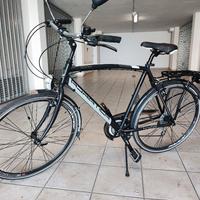 Bicicletta adriatica cicli Boxter