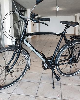 Bicicletta adriatica cicli Boxter