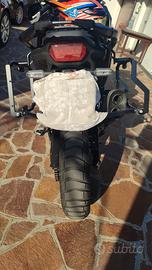 Telai borse Bumot + sella originale