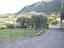 Immagine 14