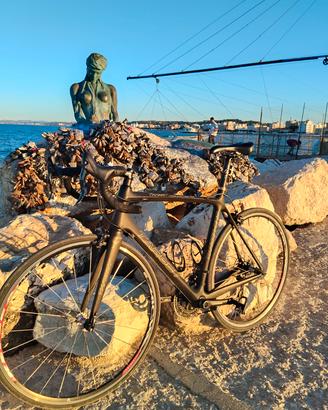 bici da corsa