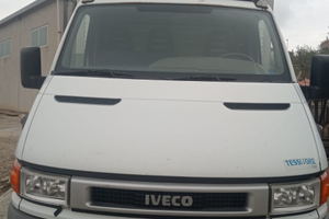 Daily 35C13 anno 2002