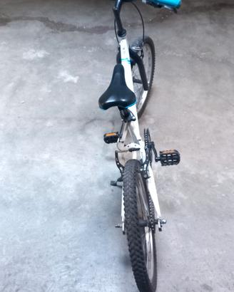 mtb 20 pollici 
