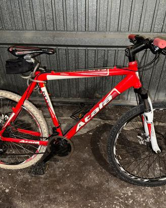 Bicicletta atala