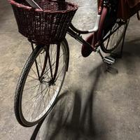 Atala bici donna modello olandese