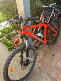 Mountain bike usata