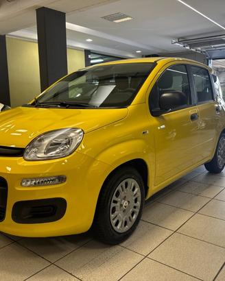 FIAT Panda 1.0 FireFly S&S Hybrid POP KM0 PROMO