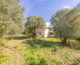 CASA INDIPENDENTE A SAN POLO DEI CAVALIERI