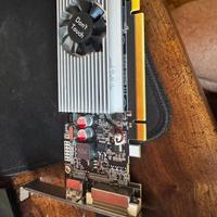 Scheda Video NVIDIA GeForce GT 720 2GB DDR3