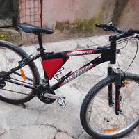 bicicletta sportiva 