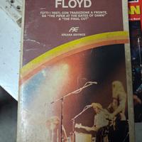 Pink Floyd libro