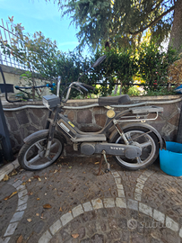 Piaggio bravo