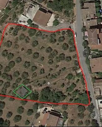 Terreno agricolo uliveto 4300 mq