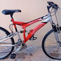 bicicletta n.26 Marzano