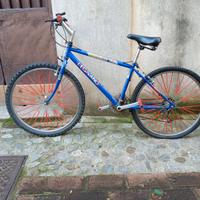 bicicletta 26