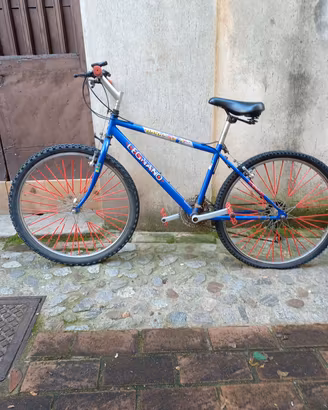 bicicletta 26
