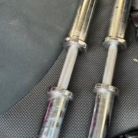 Coppia manubri olimpici BlueGym 50 mm come nuovi