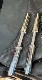 Coppia manubri olimpici BlueGym 50 mm come nuovi