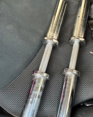 Coppia manubri olimpici BlueGym 50 mm come nuovi