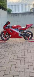 Cagiva Mito SP525 2011