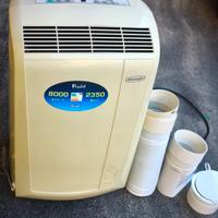 climatizzatore pinguino