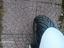 Immagine 4