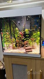 Acquario askoll opera 80