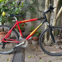 Bicicletta Montana Reactor