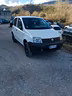 fiat-panda-1-3-mjt-4x4-van-active-2-posti