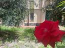 appartamento-bilocale-pietra-ligure