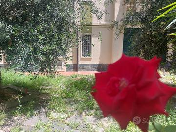 Appartamento Bilocale - Pietra Ligure