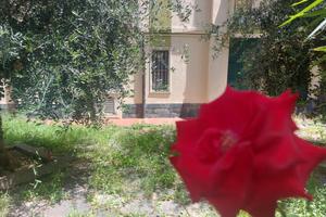 Appartamento Bilocale - Pietra Ligure