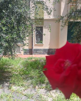 Appartamento Bilocale - Pietra Ligure