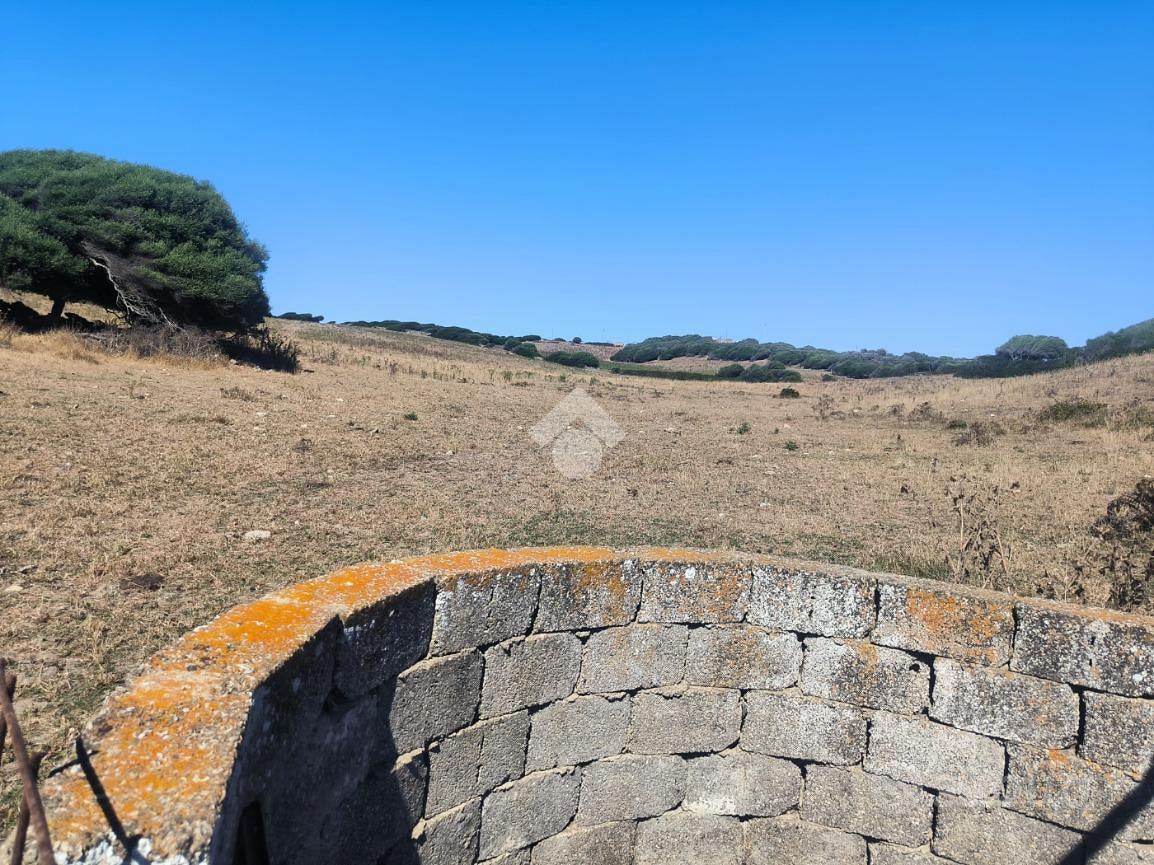 TER. AGRICOLO A SASSARI - Vista 5